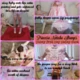 sissypiggycuckdanni