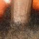 Chut_boobs_lover