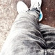 Its_your_vinii