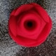 Kinkpure1