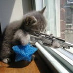 sniperkitty