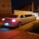 ludi13milojko