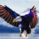 Adler0378
