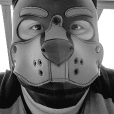 baxterbear