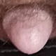 TinypenisLee