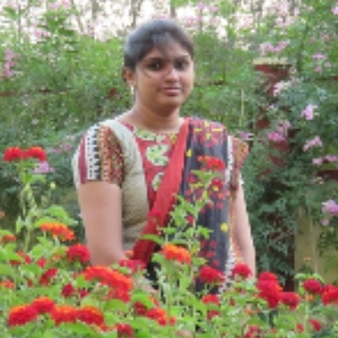 sri_srini33