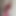 ShaySmileFox
