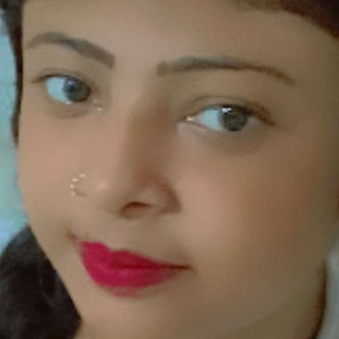 Aryansagar
