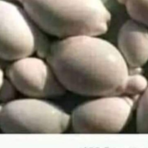 FlavorfulInterest264