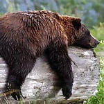 sloopb