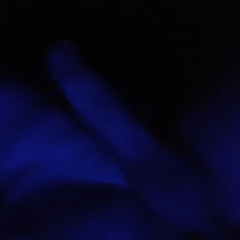 MonsterCockBDSM