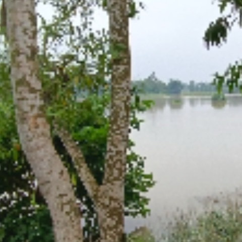 Abcdx5525