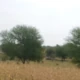 Ejazkhattak