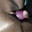 Ambika188