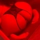 Jossy_23
