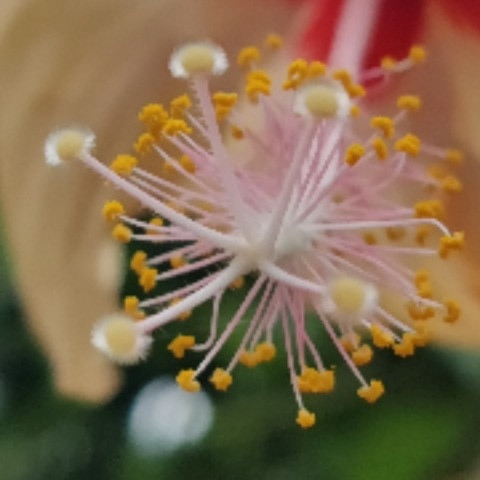 OutsideCable9