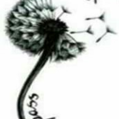 Rayani1612