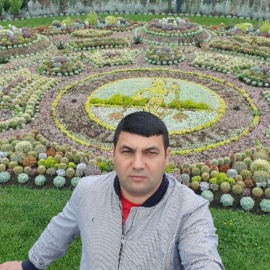 DAKO_85