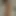 gaypornaddict269