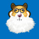 xHamster-experience