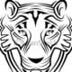 TigerSexxx