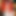angelika_svt12