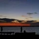 fggjj21