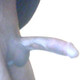 Mature_Male_RWP