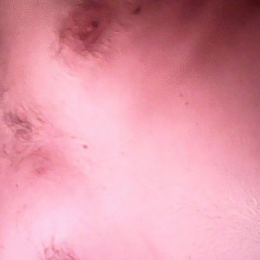 orascickrcko88