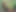 Acidick69