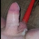 Bussytight