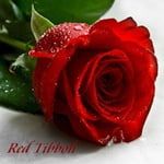 Red_Tibboh