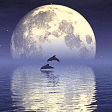 SamySalem_44