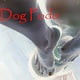 DogPodo