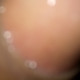 Pujarr