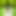 peoplesperv
