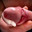 salope99
