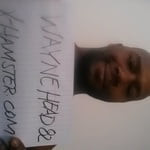 waynehead82