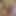 Cum4MatureBBW