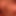 gbottomd
