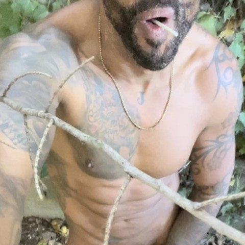 Viferlack1