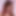 Kittycamsblogspotcom