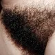 Hairy2017