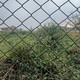Jassi2600