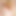 TrannyLivia
