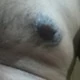 shehryar_hayat376