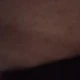 juwel500