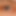HansDampf19