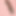 Dicksori