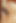 Fritz_256